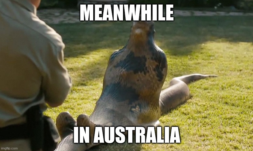 MEANWHILE; IN AUSTRALIA | image tagged in snake | made w/ Imgflip meme maker