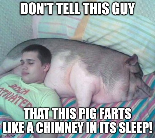 pig pillow | DON'T TELL THIS GUY; THAT THIS PIG FARTS LIKE A CHIMNEY IN ITS SLEEP! | image tagged in pig pillow | made w/ Imgflip meme maker