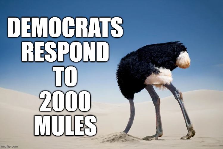2000 Mules? Never heard of it. | DEMOCRATS
RESPOND
TO
2000
MULES | image tagged in democrats,dinesh d'souza,dank memes,ostrich,2000 mules | made w/ Imgflip meme maker
