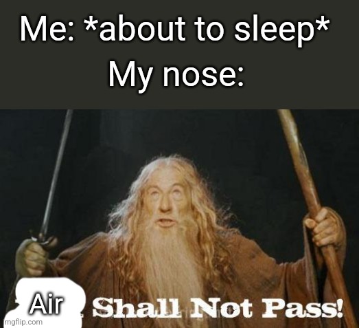 Funi meme | Me: *about to sleep*; My nose:; Air | image tagged in gandalf you shall not pass | made w/ Imgflip meme maker