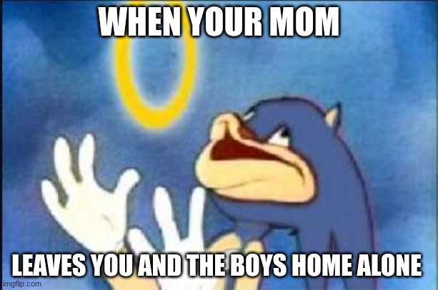 Sonic derp | WHEN YOUR MOM; LEAVES YOU AND THE BOYS HOME ALONE | image tagged in sonic derp | made w/ Imgflip meme maker