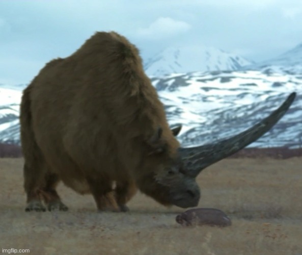 a nope from the past: elasmotherium, the original unicorn | made w/ Imgflip meme maker