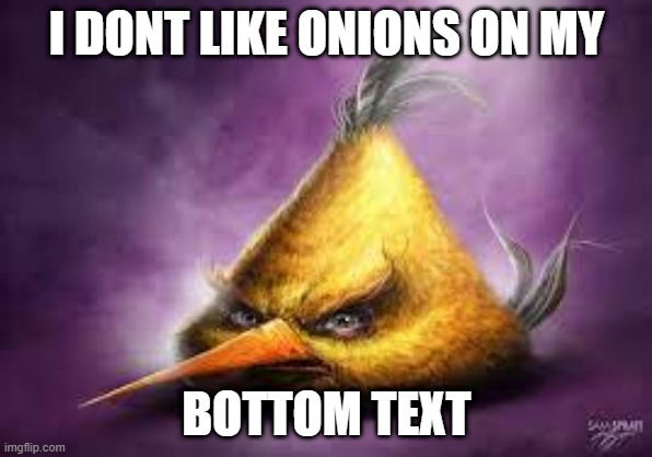 bottom text bird | I DONT LIKE ONIONS ON MY; BOTTOM TEXT | image tagged in angry birds,hyper realistic angry birds,bottom text | made w/ Imgflip meme maker