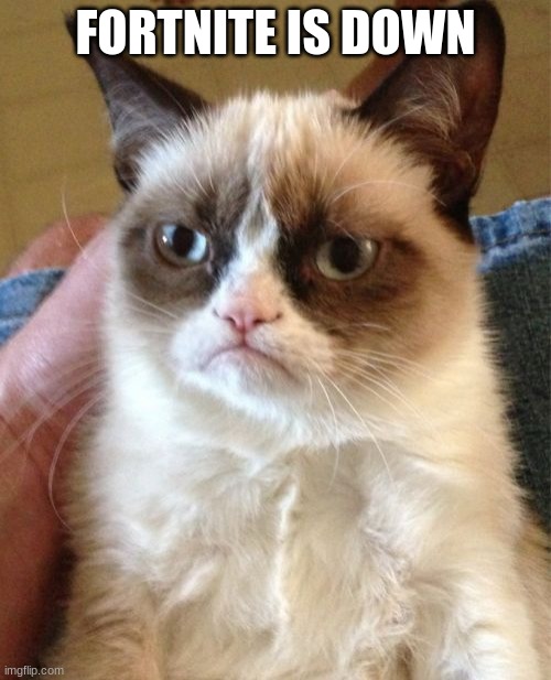 Grumpy Cat | FORTNITE IS DOWN | image tagged in memes,grumpy cat | made w/ Imgflip meme maker