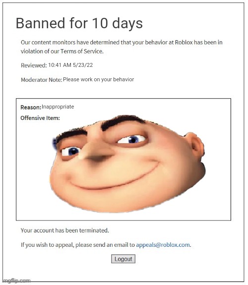 Such c*ck suckers |  Banned for 10 days; 10:41 AM 5/23/22; Please work on your behavior; Inappropriate | image tagged in moderation system,gru,roblox,bad,troll | made w/ Imgflip meme maker