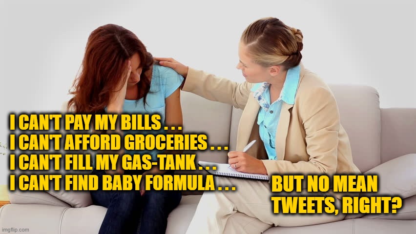 Therapy Session | I CAN'T PAY MY BILLS . . .
I CAN'T AFFORD GROCERIES . . .
I CAN'T FILL MY GAS-TANK . . .
I CAN'T FIND BABY FORMULA . . . BUT NO MEAN TWEETS, RIGHT? | image tagged in therapist | made w/ Imgflip meme maker