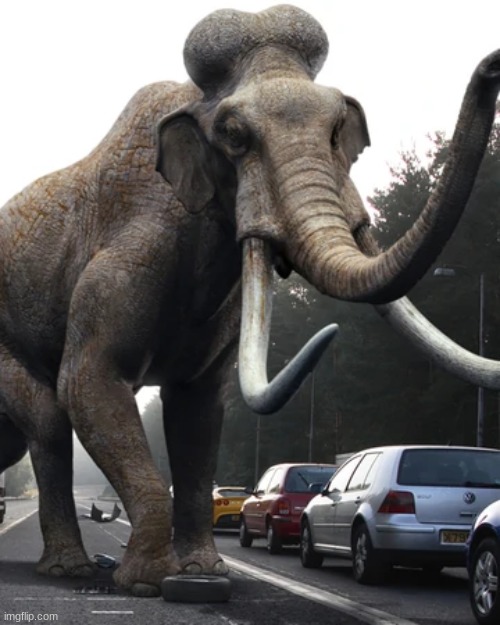 a nope from the past: columbian mammoth. If you've watched Primeval, you'd know how terrifying this thing would be | made w/ Imgflip meme maker