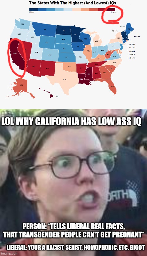 Lol liberals are stupid af | LOL WHY CALIFORNIA HAS LOW ASS IQ; PERSON: *TELLS LIBERAL REAL FACTS, THAT TRANSGENDER PEOPLE CAN'T GET PREGNANT*; LIBERAL: YOUR A RACIST, SEXIST, HOMOPHOBIC, ETC. BIGOT | image tagged in memes,politics | made w/ Imgflip meme maker