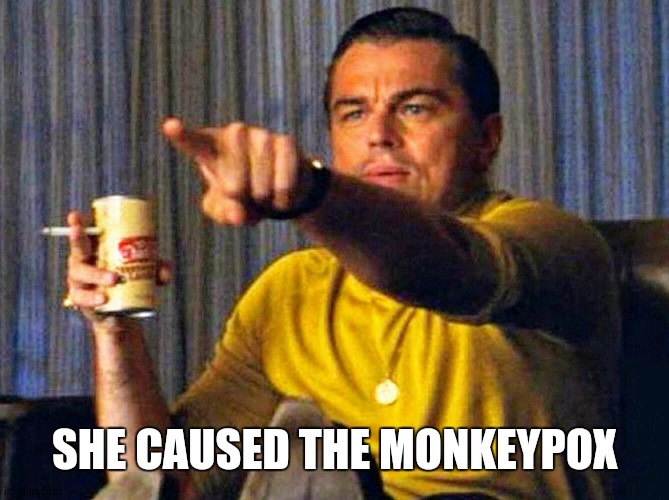 Leonardo Dicaprio pointing at tv | SHE CAUSED THE MONKEYPOX | image tagged in leonardo dicaprio pointing at tv | made w/ Imgflip meme maker