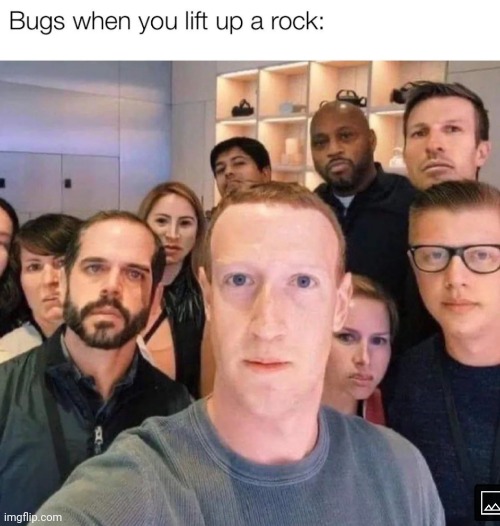 There all looking at you | image tagged in bugs,rock | made w/ Imgflip meme maker