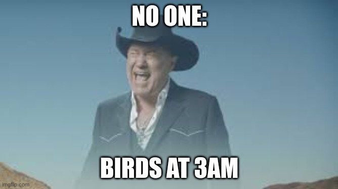ASDJNDNF | NO ONE:; BIRDS AT 3AM | image tagged in aaaaaaaaaaaaaaaaaaaaaaaaaaa | made w/ Imgflip meme maker