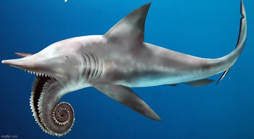 a nope from the past: helicoprion, the whorl-toothed shark | made w/ Imgflip meme maker