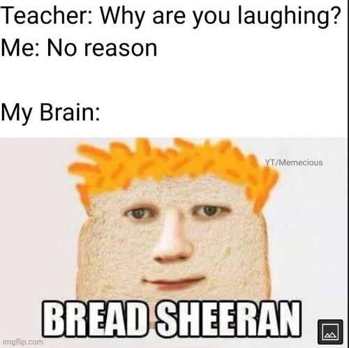 Beautifully cursed! | image tagged in laughing,bread,ed sheeran | made w/ Imgflip meme maker