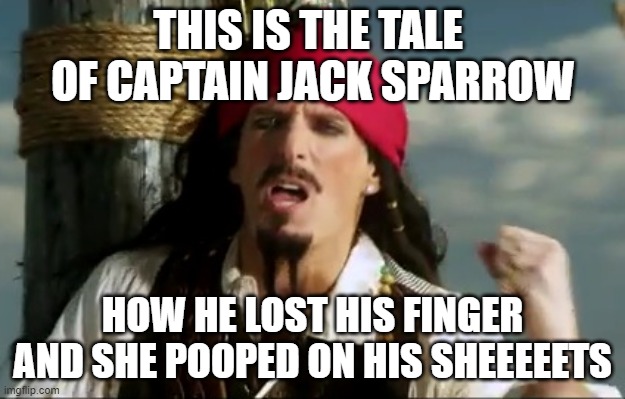 Michael Bolton Pirate I lied | THIS IS THE TALE 
OF CAPTAIN JACK SPARROW; HOW HE LOST HIS FINGER
AND SHE POOPED ON HIS SHEEEEETS | image tagged in michael bolton pirate i lied,amber heard,johnny depp | made w/ Imgflip meme maker