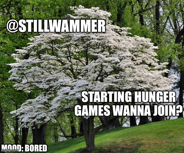 Wammer temp | @STILLWAMMER; STARTING HUNGER GAMES WANNA JOIN? MOOD: BORED | image tagged in wammer temp | made w/ Imgflip meme maker