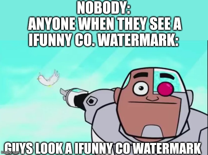 Guys look a birdie |  NOBODY:
 ANYONE WHEN THEY SEE A IFUNNY CO. WATERMARK:; GUYS LOOK A IFUNNY CO WATERMARK | image tagged in guys look a birdie,ifunny,memes | made w/ Imgflip meme maker