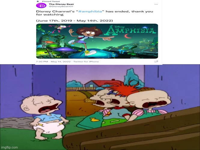 i can't believe that amphibia has ended and the rugrats are now crying! | image tagged in amphibia,rugrats | made w/ Imgflip meme maker