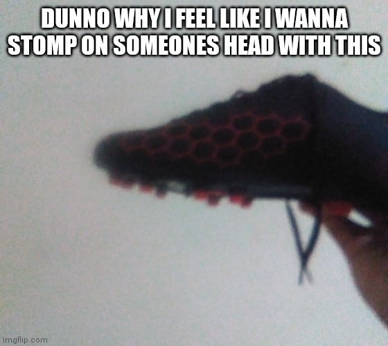 DUNNO WHY I FEEL LIKE I WANNA STOMP ON SOMEONES HEAD WITH THIS | made w/ Imgflip meme maker