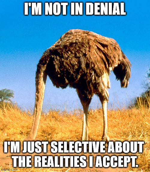 Denial Be Like | I'M NOT IN DENIAL; I'M JUST SELECTIVE ABOUT 
THE REALITIES I ACCEPT. | image tagged in denial be like,eye roll | made w/ Imgflip meme maker