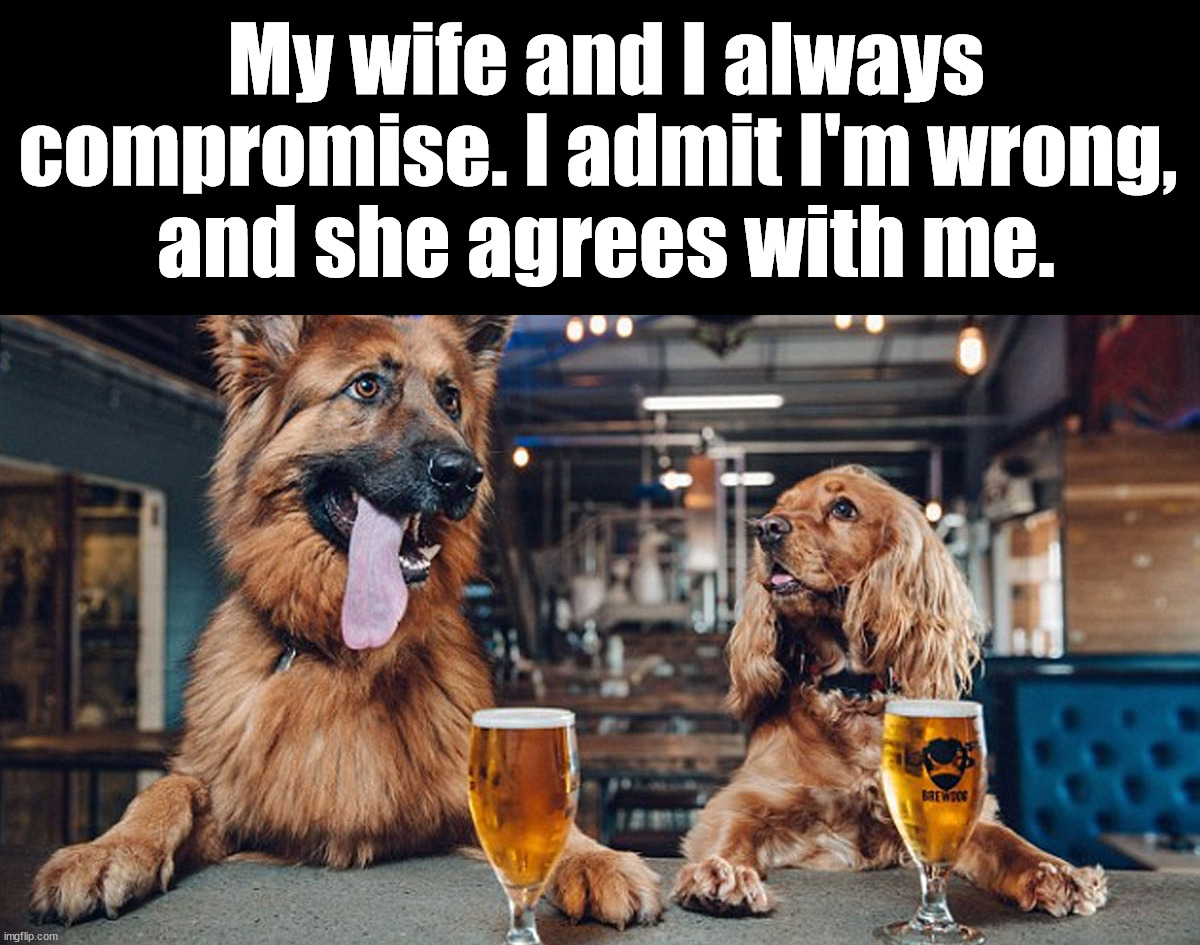 dog drinking | My wife and I always compromise. I admit I'm wrong, 
and she agrees with me. | image tagged in dog drinking,eye roll | made w/ Imgflip meme maker