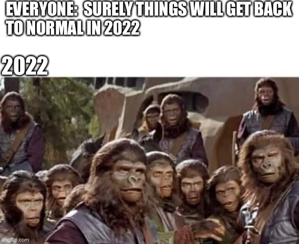 Monkey Pox |  EVERYONE:  SURELY THINGS WILL GET BACK  TO NORMAL IN 2022; 2022 | image tagged in monkey puppet | made w/ Imgflip meme maker