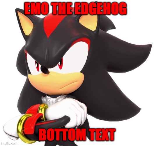 Idk | EMO THE EDGEHOG; BOTTOM TEXT | image tagged in shadow the hedgehog | made w/ Imgflip meme maker