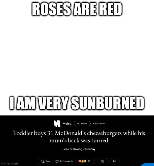 Image Title | ROSES ARE RED; I AM VERY SUNBURNED | image tagged in image tags | made w/ Imgflip meme maker
