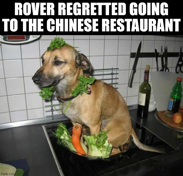 ROVER REGRETTED GOING TO THE CHINESE RESTAURANT | image tagged in gross | made w/ Imgflip meme maker