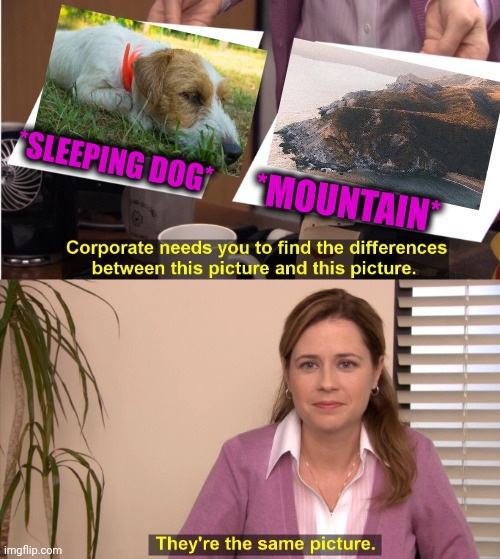-Madness peak. | *SLEEPING DOG*; *MOUNTAIN* | image tagged in memes,they're the same picture,sleeping beauty,raydog,mountain dew,ocean | made w/ Imgflip meme maker
