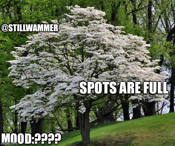 Wammer temp | @STILLWAMMER; SPOTS ARE FULL; MOOD:???? | image tagged in wammer temp | made w/ Imgflip meme maker