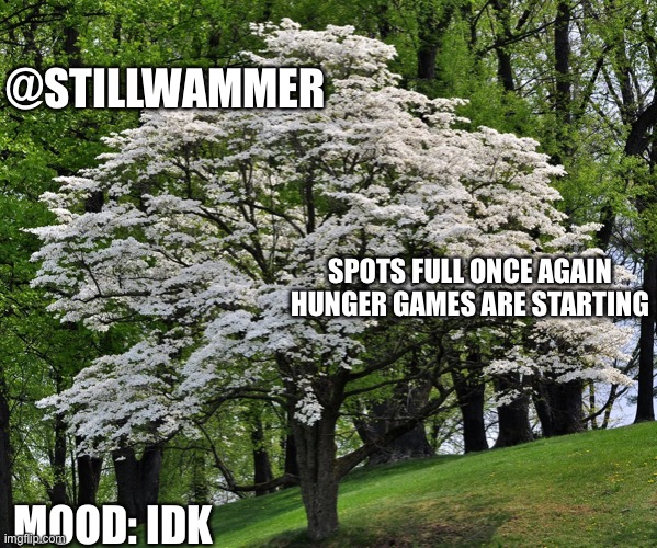 Wammer temp | @STILLWAMMER; SPOTS FULL ONCE AGAIN HUNGER GAMES ARE STARTING; MOOD: IDK | image tagged in wammer temp | made w/ Imgflip meme maker