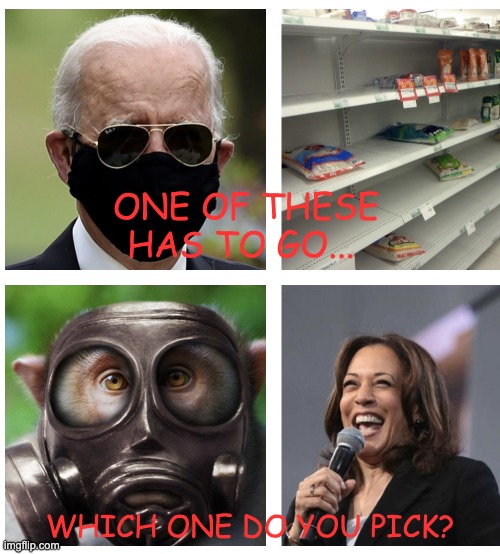 Monkey pox |  ONE OF THESE
HAS TO GO... WHICH ONE DO YOU PICK? | image tagged in monkey pox,joe biden,kamala harris,food shortages | made w/ Imgflip meme maker