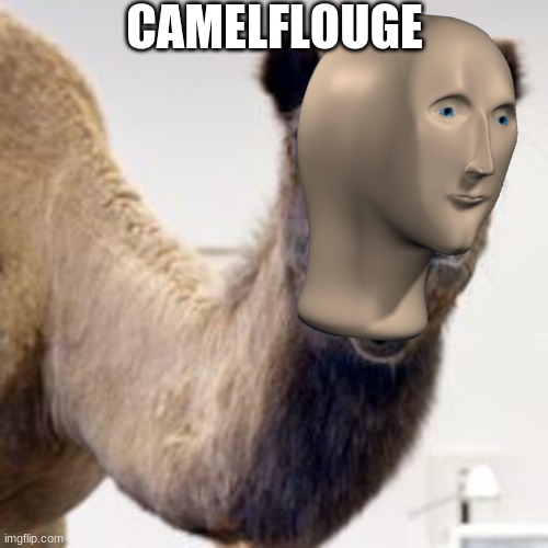 Camel | CAMELFLOUGE | image tagged in camel | made w/ Imgflip meme maker