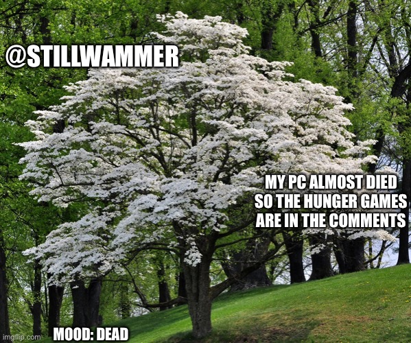 The pc died so i have to post in comments go look in comments | @STILLWAMMER; MY PC ALMOST DIED SO THE HUNGER GAMES ARE IN THE COMMENTS; MOOD: DEAD | image tagged in wammer temp | made w/ Imgflip meme maker