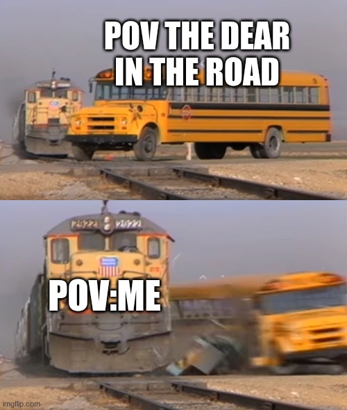 danm dears | POV THE DEAR IN THE ROAD; POV:ME | image tagged in a train hitting a school bus | made w/ Imgflip meme maker