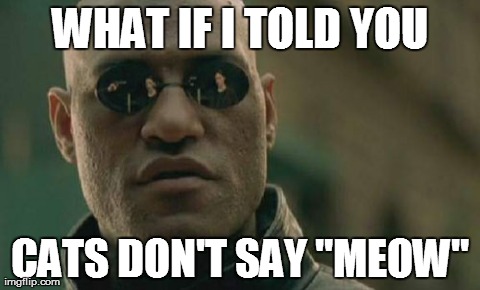 What if i told you | WHAT IF I TOLD YOU CATS DON'T SAY "MEOW" | image tagged in memes,matrix morpheus | made w/ Imgflip meme maker