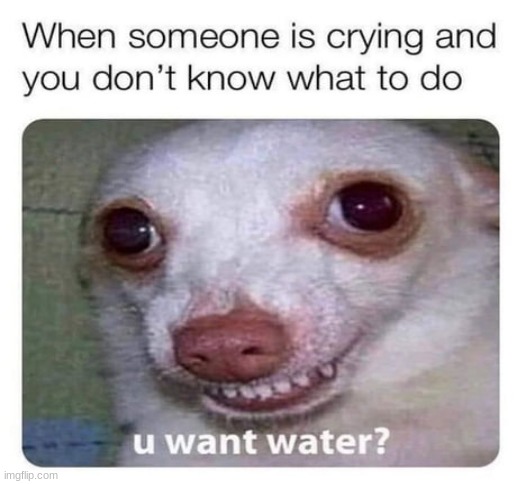 u wants some water | image tagged in you,wanted,water | made w/ Imgflip meme maker