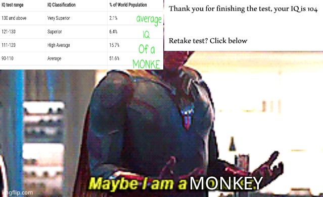 Gee, I'd better retake it |  MONKEY | image tagged in maybe i am a monster | made w/ Imgflip meme maker