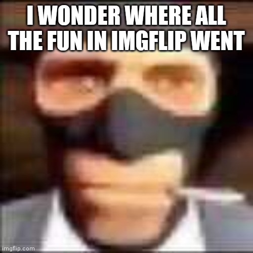 theres no people i can troll on since i get easily banned for my extreme levels of trolling | I WONDER WHERE ALL THE FUN IN IMGFLIP WENT | image tagged in spi | made w/ Imgflip meme maker