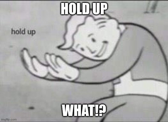 Fallout Hold Up | HOLD UP WHAT!? | image tagged in fallout hold up | made w/ Imgflip meme maker