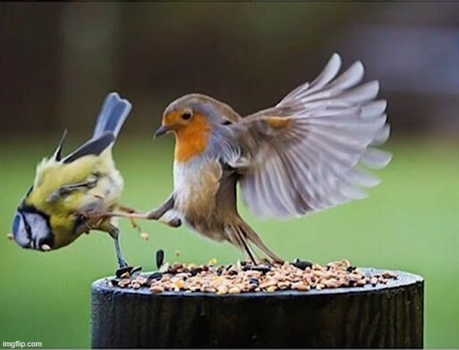 this is sparta | image tagged in this is sparta | made w/ Imgflip meme maker