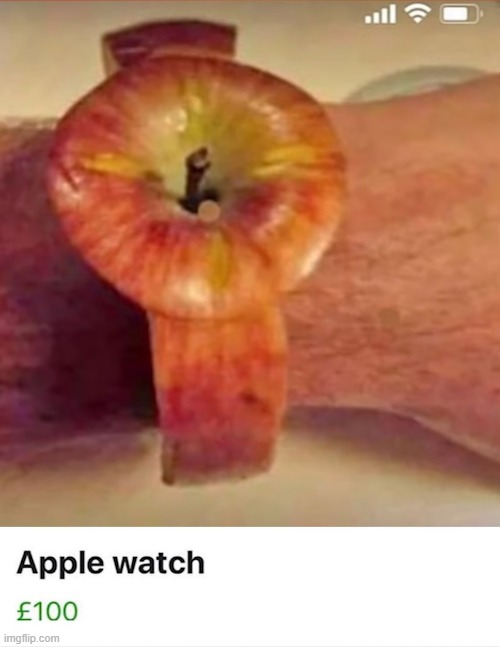 image tagged in puns | made w/ Imgflip meme maker