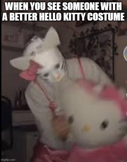 WHEN YOU SEE SOMEONE WITH A BETTER HELLO KITTY COSTUME | made w/ Imgflip meme maker