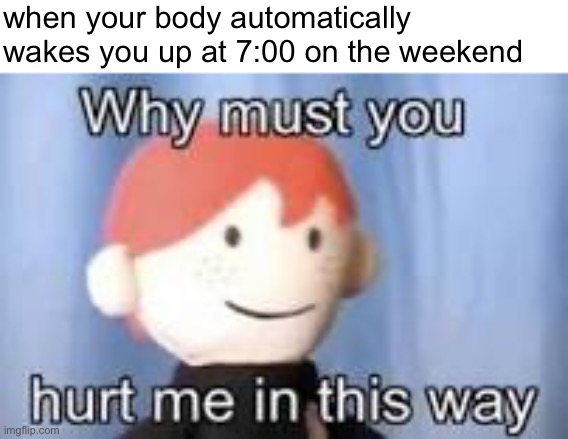 i have a love hate relationship with myself | when your body automatically wakes you up at 7:00 on the weekend | image tagged in why must you hurt me in this way,funny,memes,funny memes,barney will eat all of your delectable biscuits,me | made w/ Imgflip meme maker