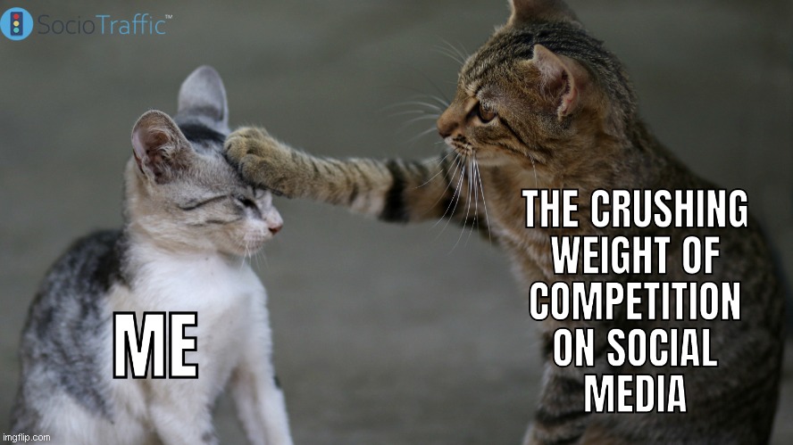 Compete with confidence on Instagram | image tagged in instagram,followers,likes | made w/ Imgflip meme maker