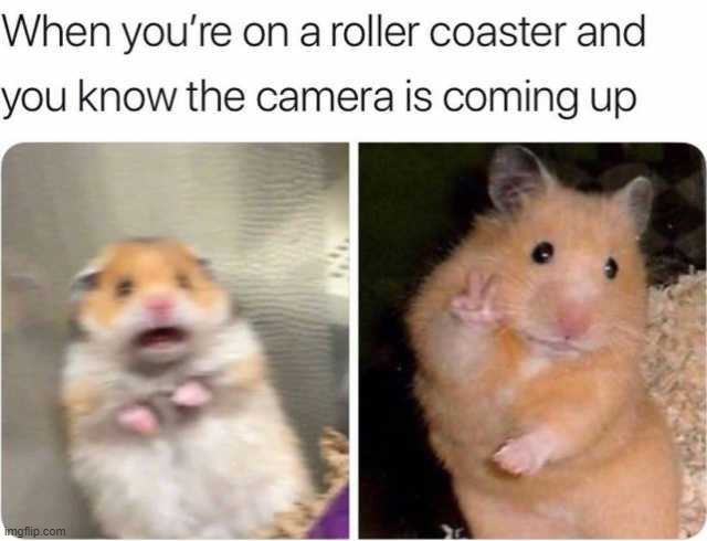 image tagged in repost | made w/ Imgflip meme maker