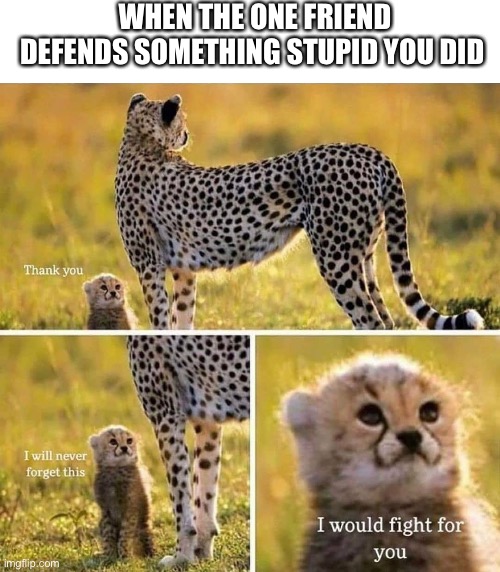  WHEN THE ONE FRIEND DEFENDS SOMETHING STUPID YOU DID | image tagged in i would fight for you,i have no friends | made w/ Imgflip meme maker