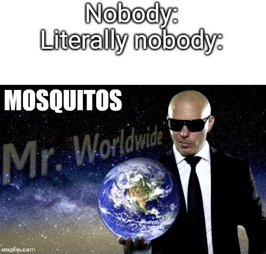 Ah yes meme | Nobody:
Literally nobody:; MOSQUITOS | image tagged in mr worldwide,relatable,memes,funny | made w/ Imgflip meme maker