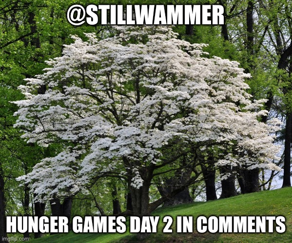 Wammer temp | @STILLWAMMER; HUNGER GAMES DAY 2 IN COMMENTS | image tagged in wammer temp | made w/ Imgflip meme maker