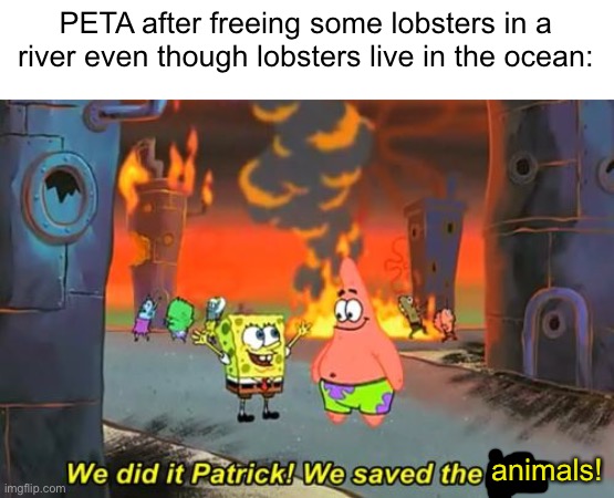 PETA knows 0 things about animals. | PETA after freeing some lobsters in a river even though lobsters live in the ocean:; animals! | image tagged in spongebob we saved the city,we did it patrick we saved the city,peta,animals,peta sucks | made w/ Imgflip meme maker